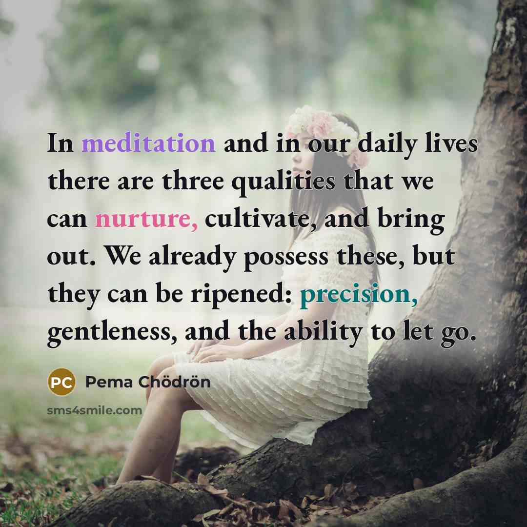 “In meditation and in our daily lives there are three…” quote by Pema Chodron