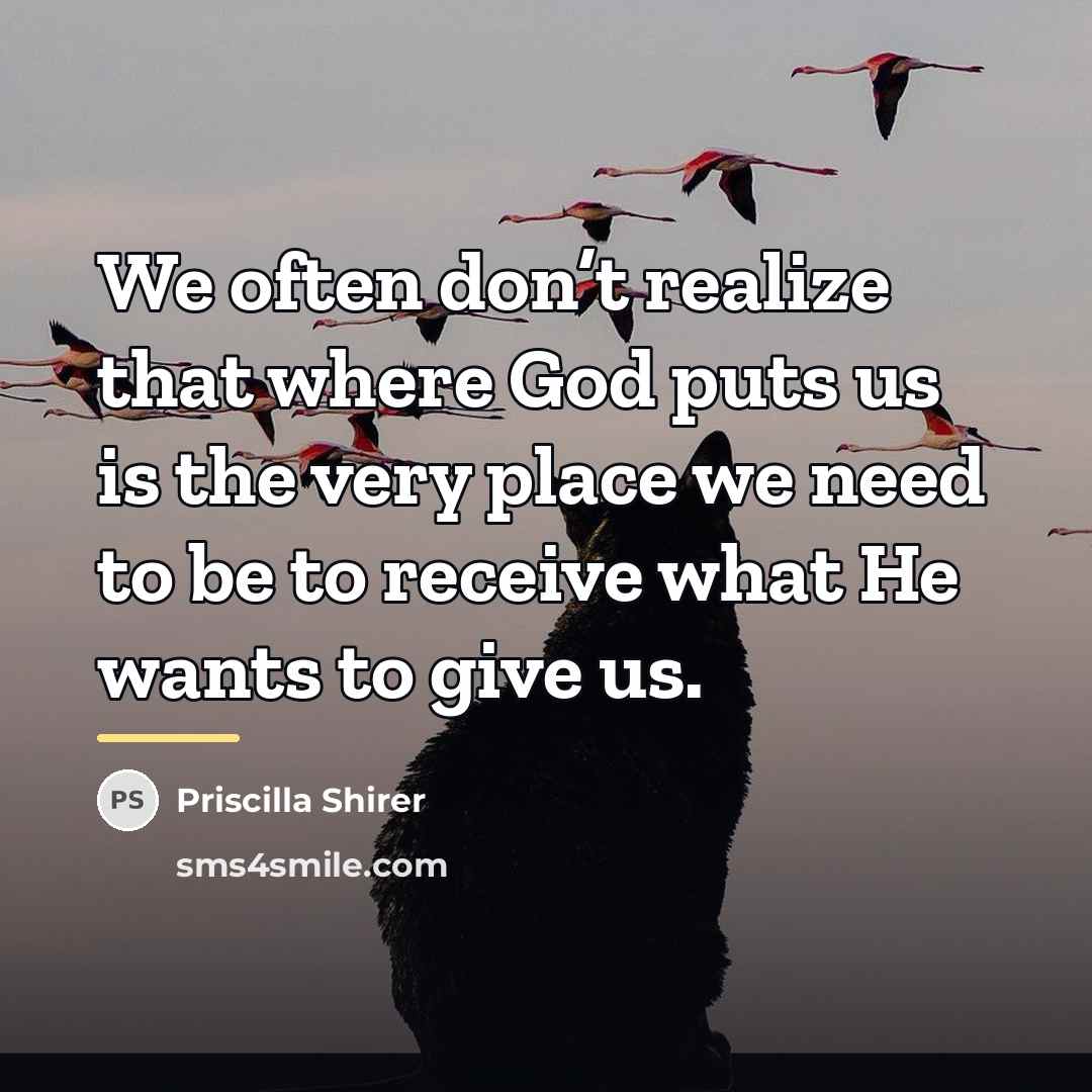 “We often don’t realize that where God puts us is…” quote by Priscilla Shirer