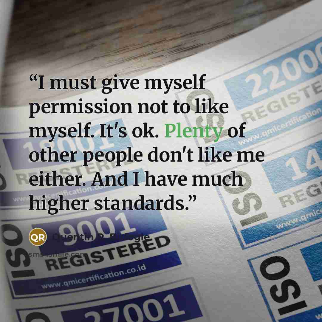 “I must give myself permission not to like myself. It's ok. Plenty of other people don't like me either. And I have much higher standards.” quote by Quentin R. Bufogle