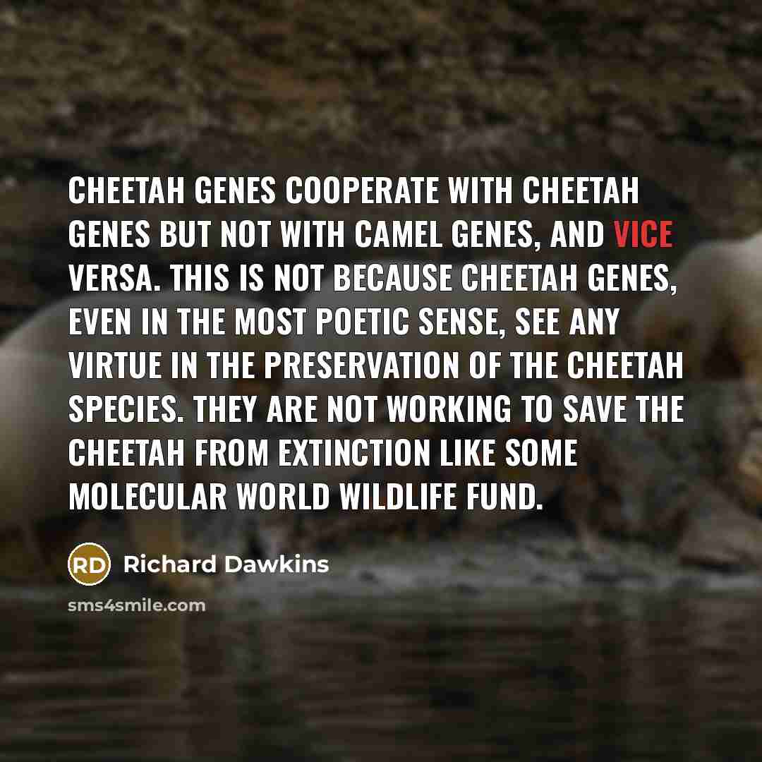 “Cheetah genes cooperate with cheetah genes but not with camel…” quote by Richard Dawkins