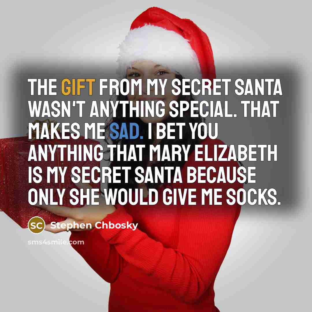 “The gift from my Secret Santa wasn't anything special. That makes me sad. I bet you anything that Mary Elizabeth is my Secret Santa because only she would give me socks.” quote by Stephen Chbosky