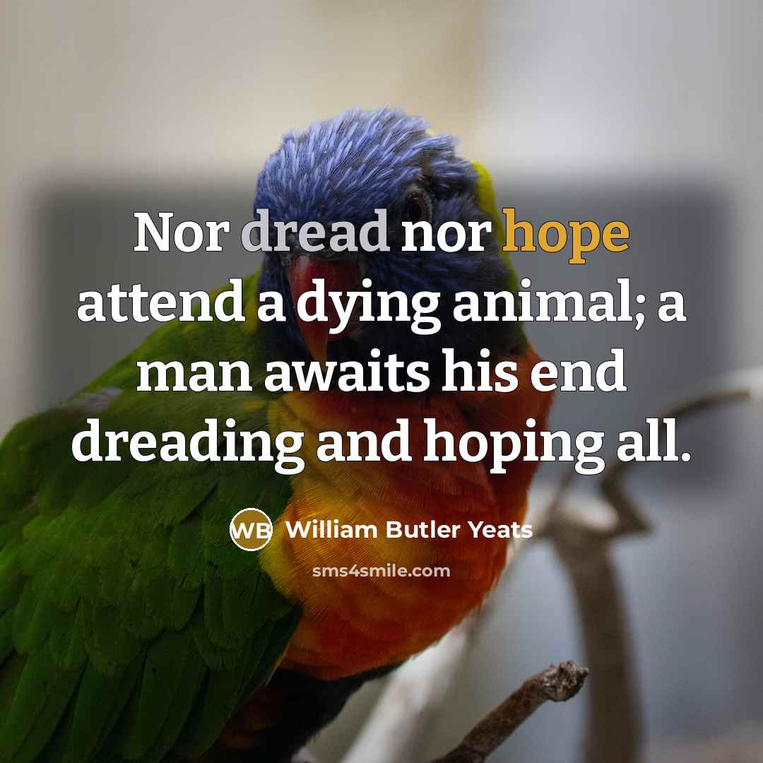 “Nor dread nor hope attend a dying animal; a man…” quote by William Butler Yeats