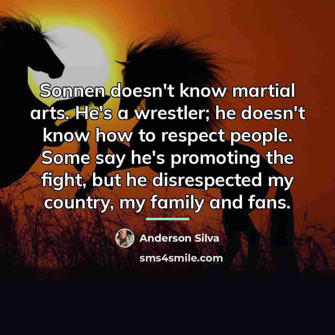 “Sonnen doesn't know martial arts. He's a wrestler; he doesn't…” quote by Anderson Silva