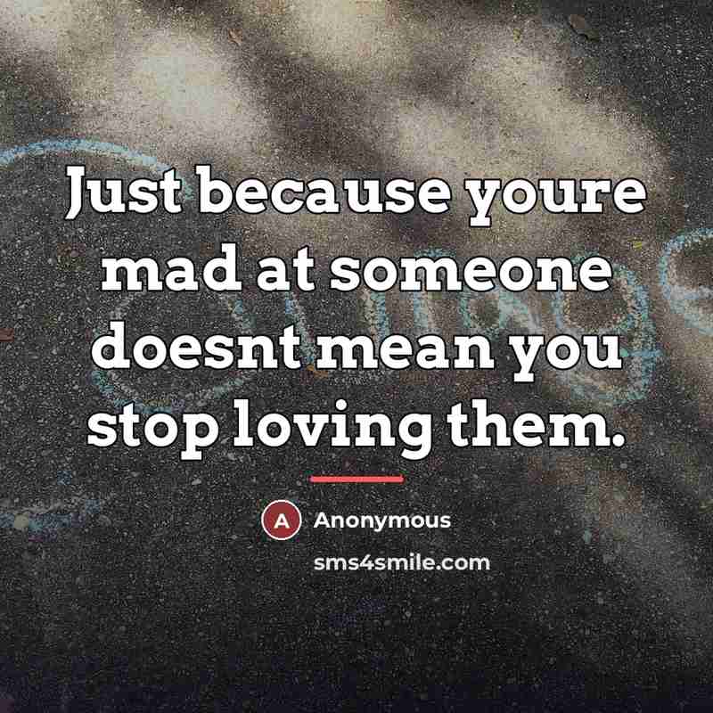 “Just because youre mad at someone doesnt mean you stop…” quote by Anonymous