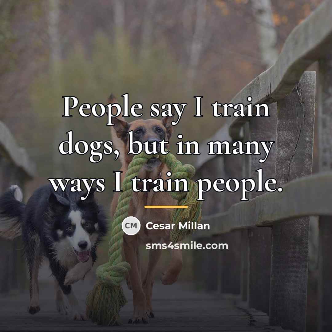 “People say I train dogs, but in many ways I…” quote by Cesar Millan