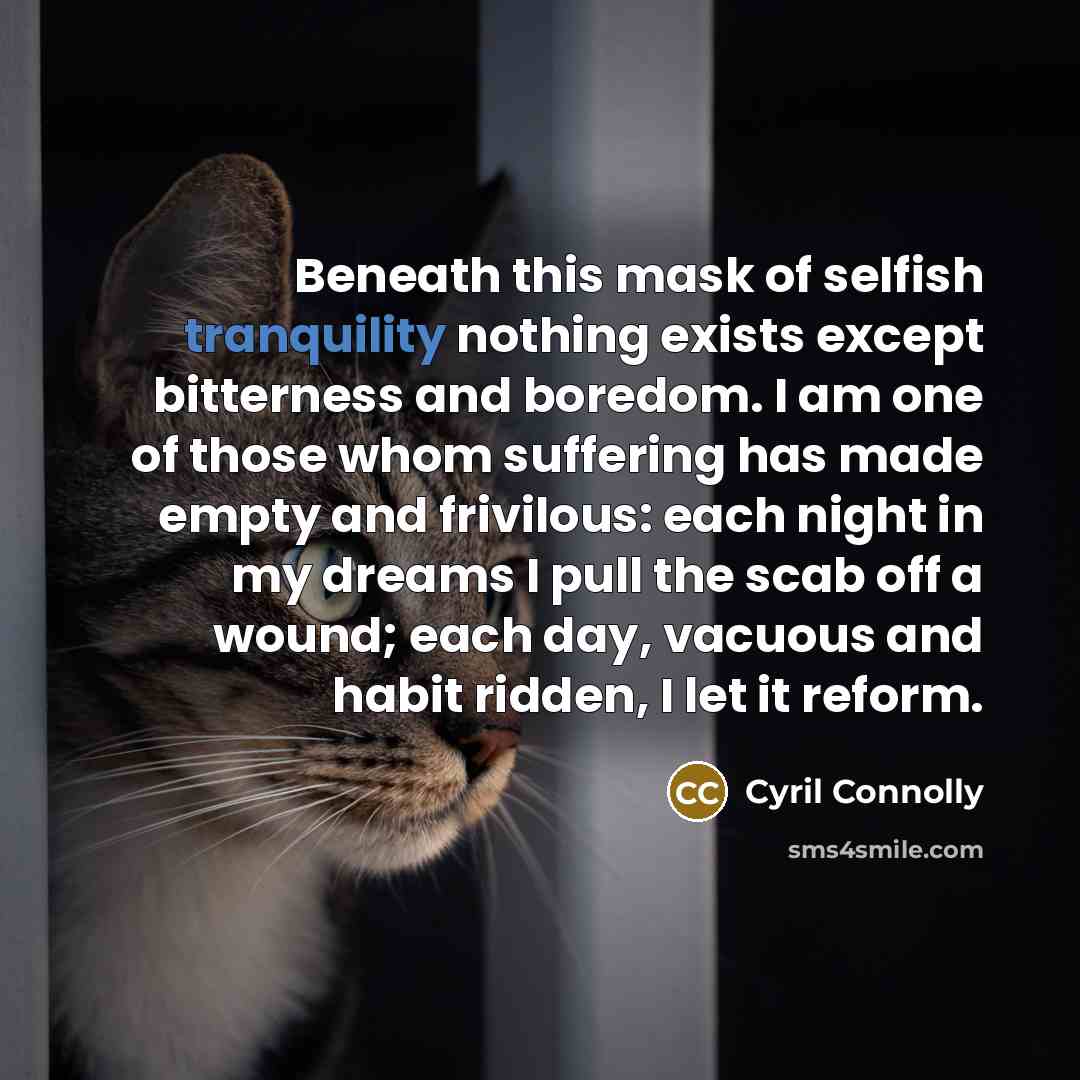 “Beneath this mask of selfish tranquility nothing exists except bitterness…” quote by Cyril Connolly