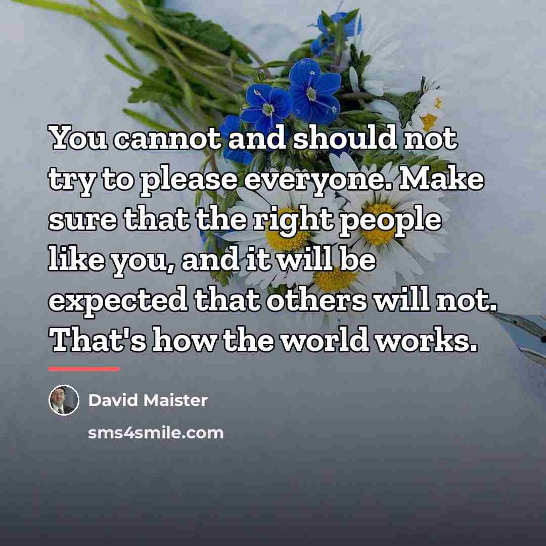 “You cannot and should not try to please everyone. Make…” quote by David Maister