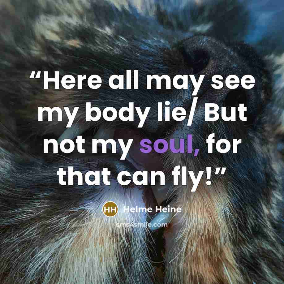 “Here all may see my body lie/ But not my soul, for that can fly!” quote by Helme Heine