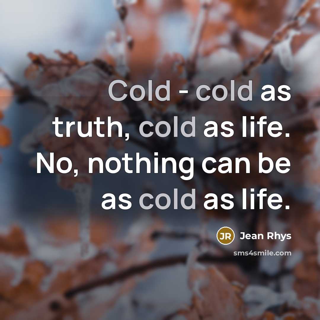 “Cold - cold as truth, cold as life. No, nothing…” quote by Jean Rhys