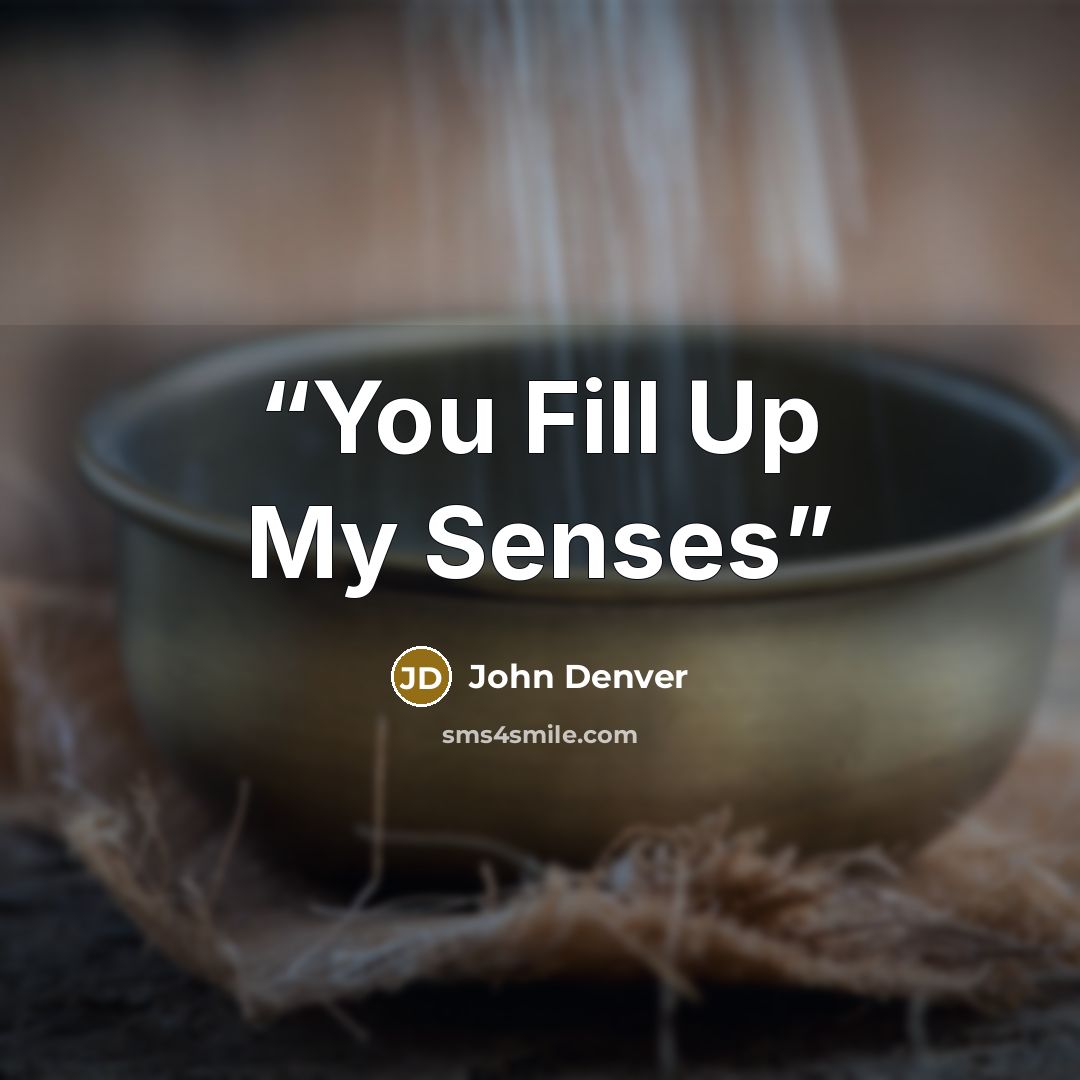 “You Fill Up My Senses” quote by John Denver