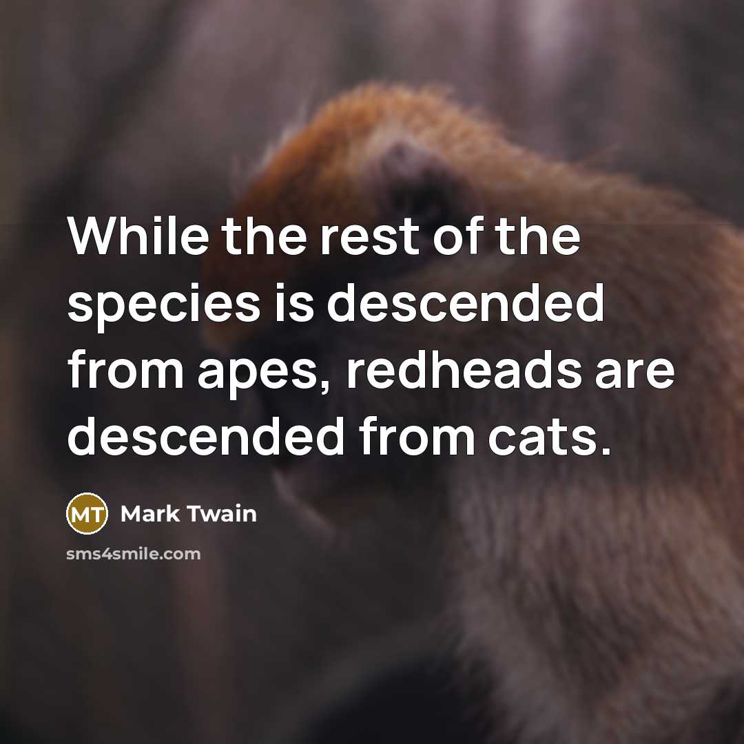 “While the rest of the species is descended from apes,…” quote by Mark Twain