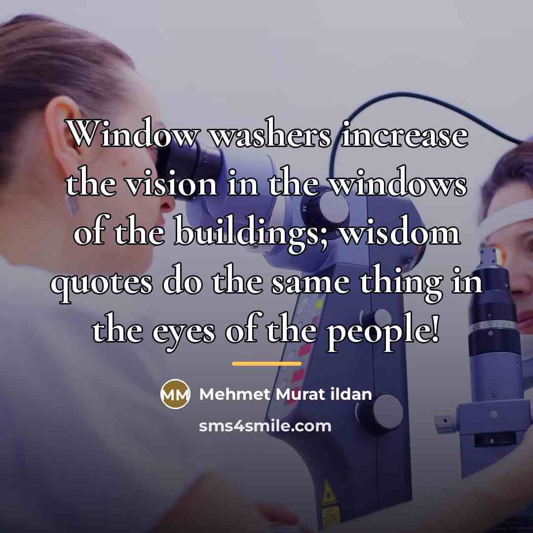 “Window washers increase the vision in the windows of the…” quote by Mehmet Murat Ildan