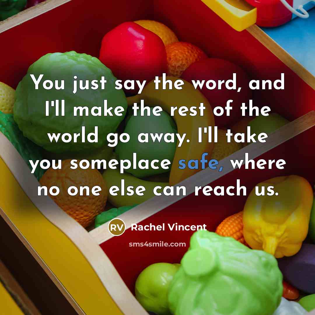 “You just say the word, and I'll make the rest…” quote by Rachel Vincent