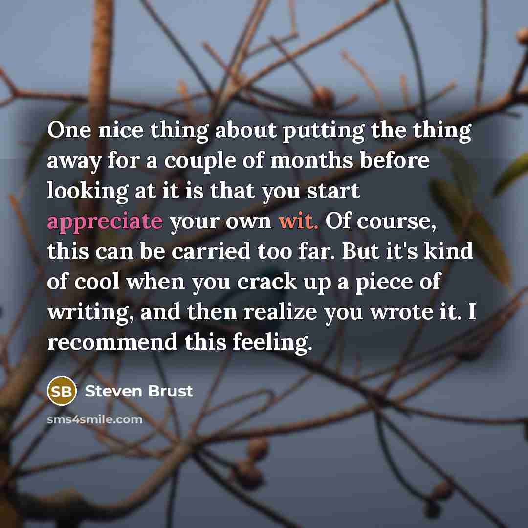 “One nice thing about putting the thing away for a…” quote by Steven Brust