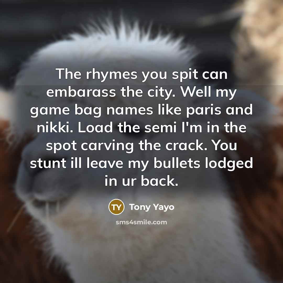 “The rhymes you spit can embarass the city. Well my…” quote by Tony Yayo