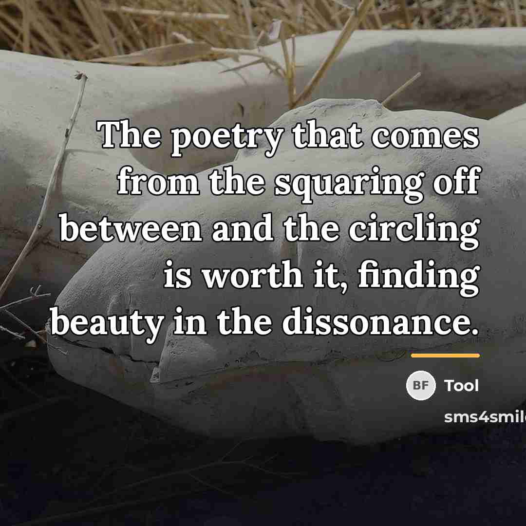 “The poetry that comes from the squaring off between and…” quote by Tool