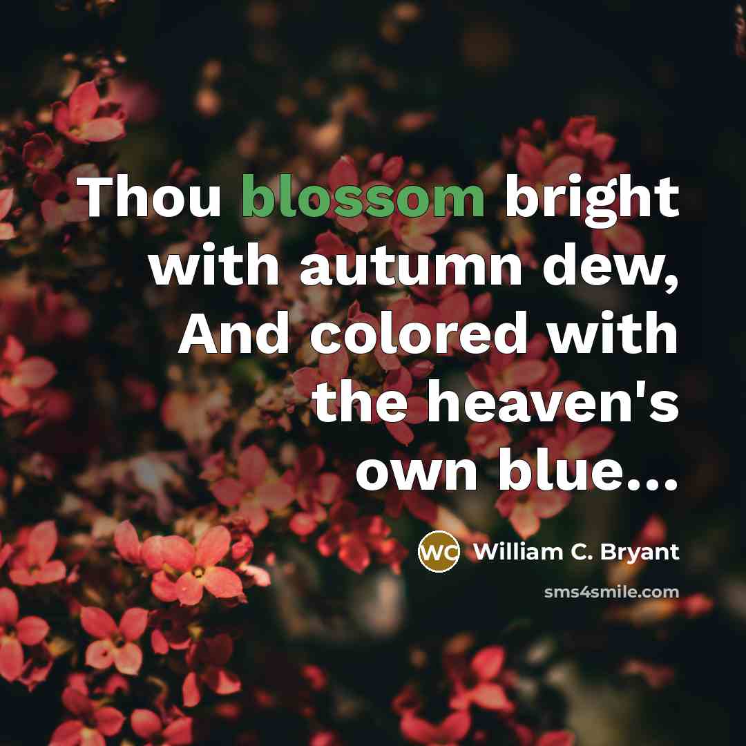 “Thou blossom bright with autumn dew, And colored with the…” quote by William C. Bryant