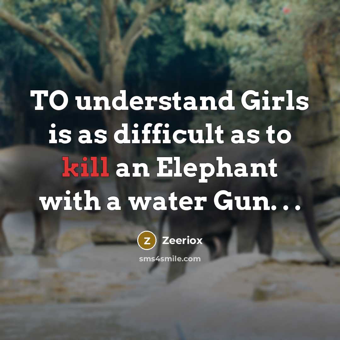 “TO understand Girls is as difficult as to kill an Elephant with a water Gun. . .” quote by ZeerioX