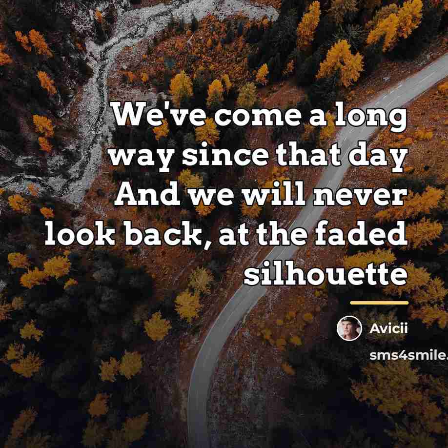 “We've come a long way since that day And we…” quote by Avicii