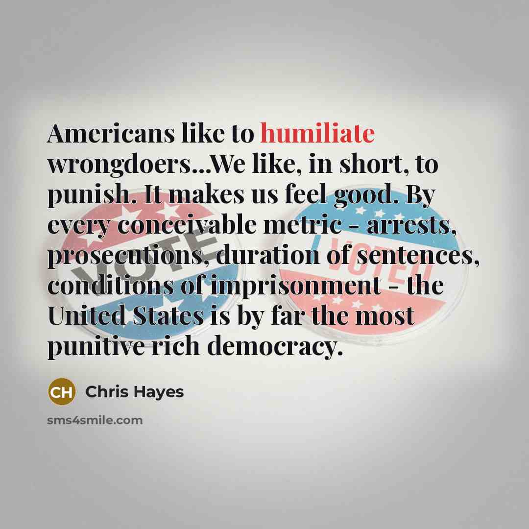 “Americans like to humiliate wrongdoers...We like, in short, to punish.…” quote by Chris Hayes