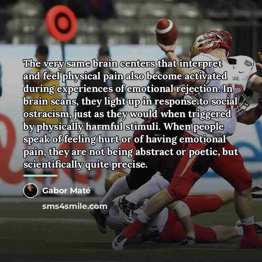 “The very same brain centers that interpret and feel physical…” quote by Gabor Mate