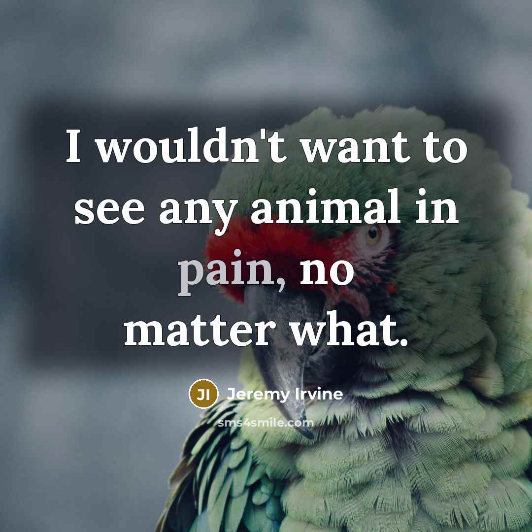 “I wouldn't want to see any animal in pain, no…” quote by Jeremy Irvine