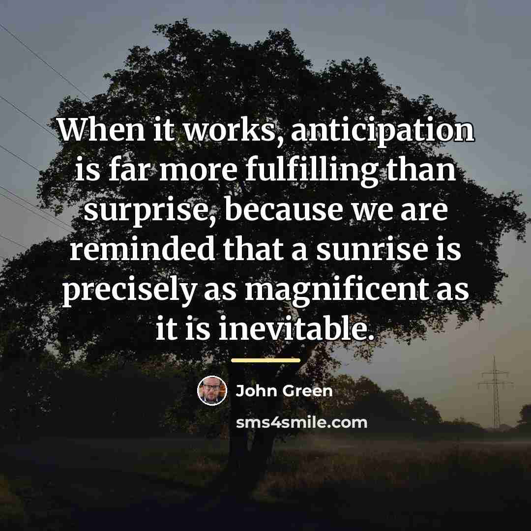 “When it works, anticipation is far more fulfilling than surprise,…” quote by John Green