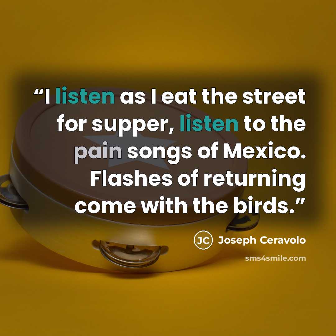“I listen as I eat the street for supper, listen to the pain songs of Mexico. Flashes of returning come with the birds.” quote by Joseph Ceravolo