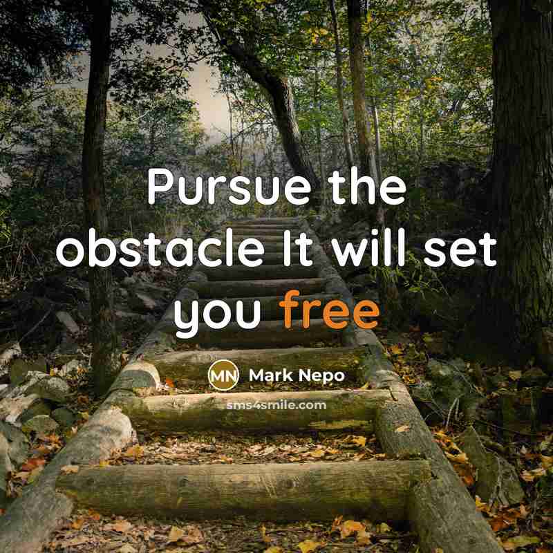 “Pursue the obstacle It will set you free…” quote by Mark Nepo