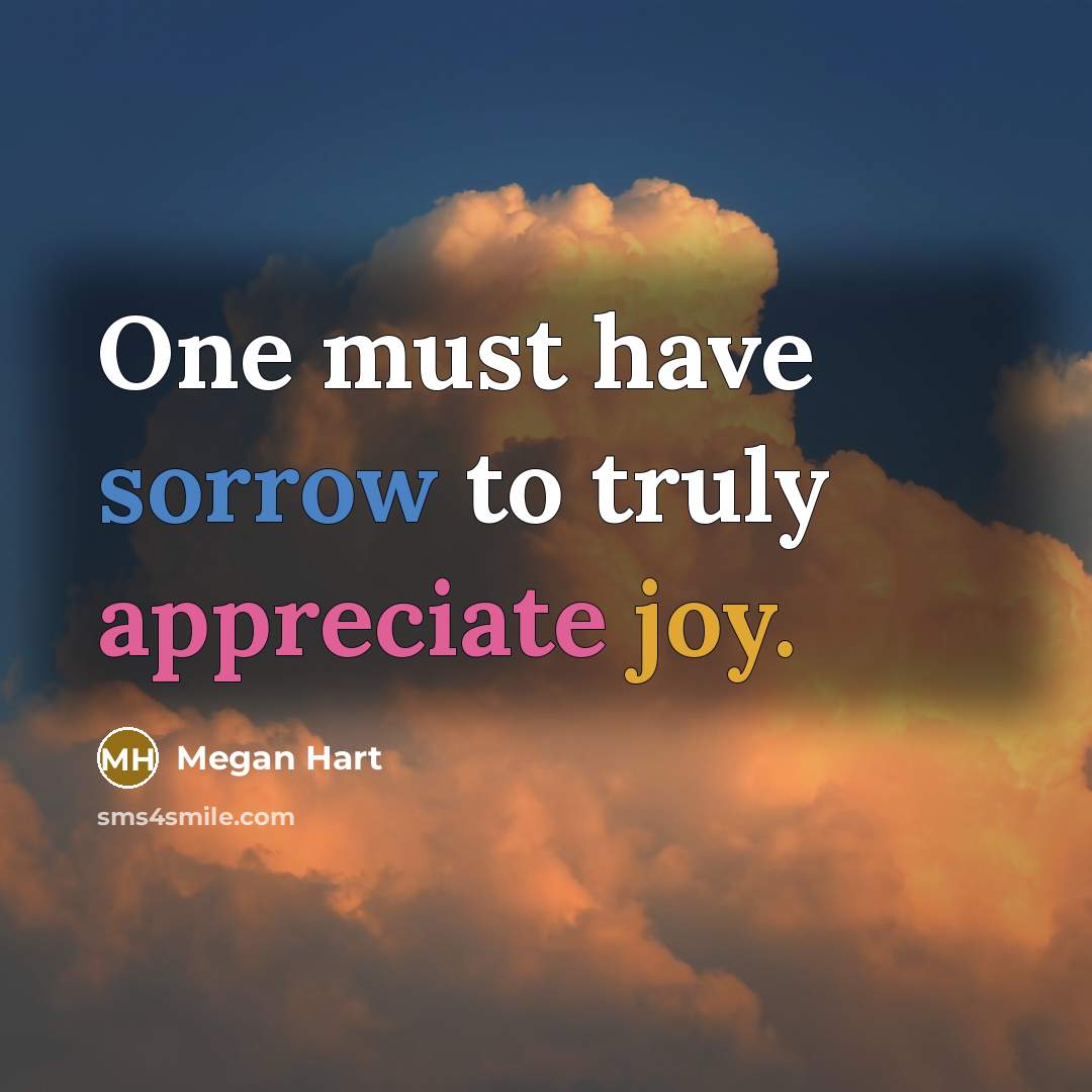 “One must have sorrow to truly appreciate joy.…” quote by Megan Hart