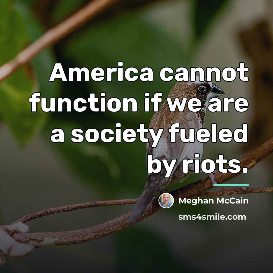 “America cannot function if we are a society fueled by…” quote by Meghan McCain