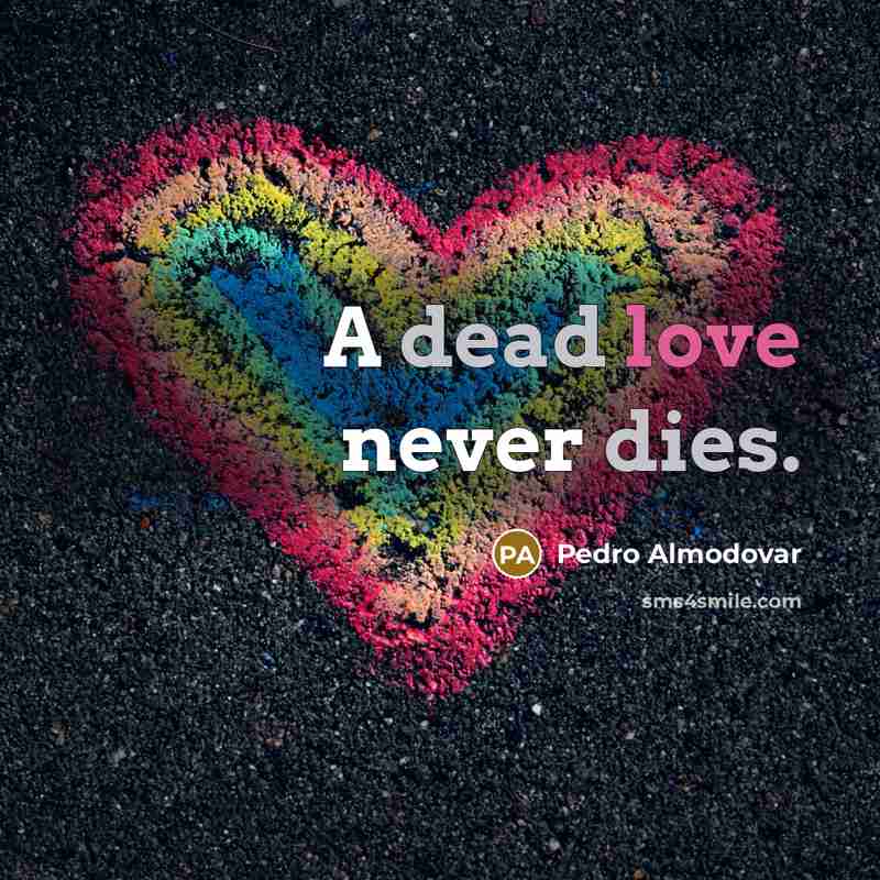 “A dead love never dies.” quote by Pedro Almodovar