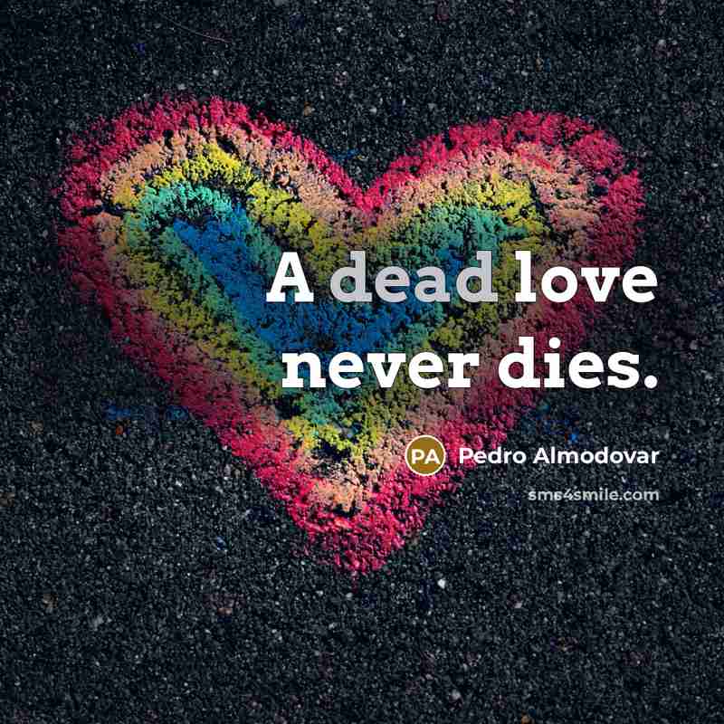 “A dead love never dies.…” quote by Pedro Almodovar