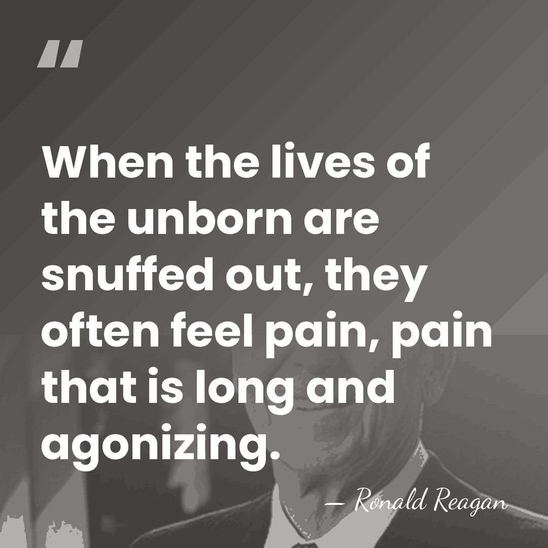 When the lives of the unborn are snuffed out, they often feel&hellip; - Ronald Reagan