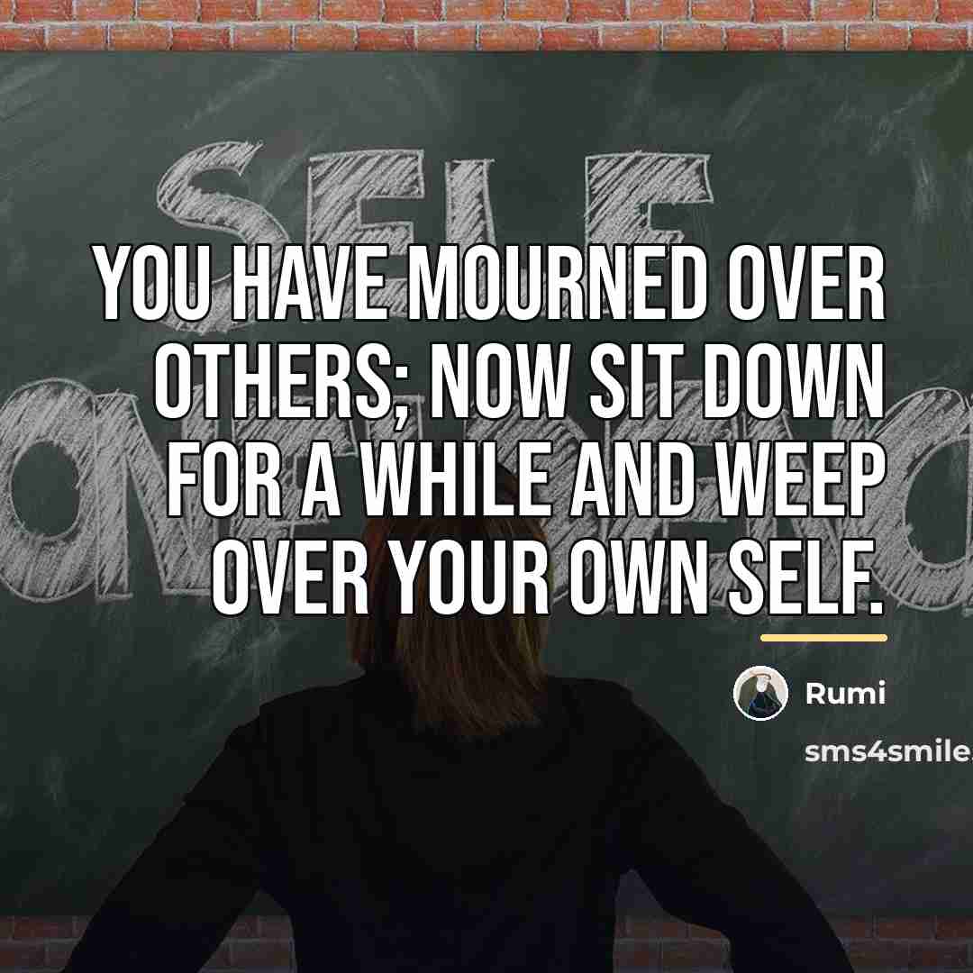 “You have mourned over others; now sit down for a…” quote by Rumi