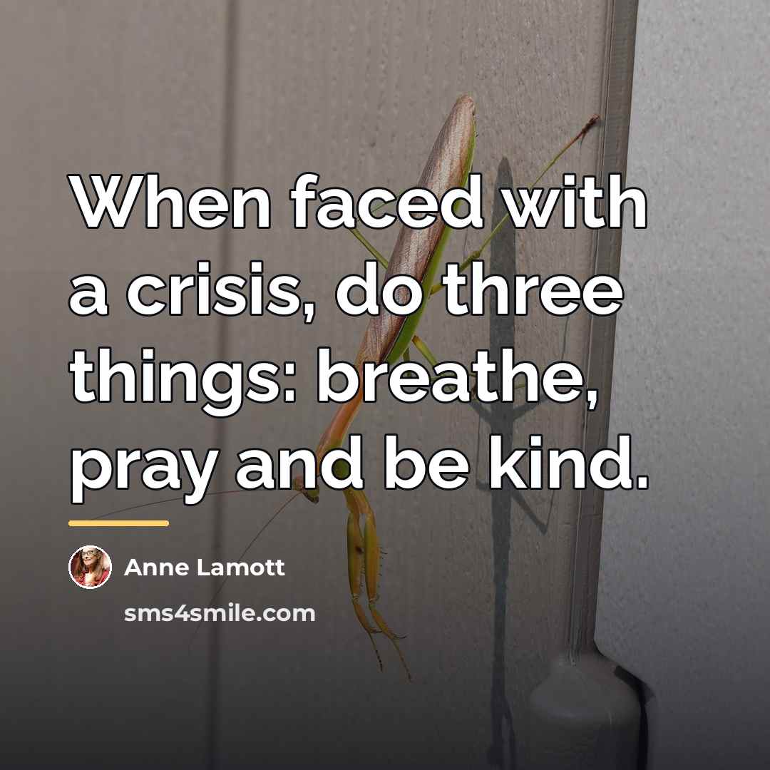 “When faced with a crisis, do three things: breathe, pray…” quote by Anne Lamott