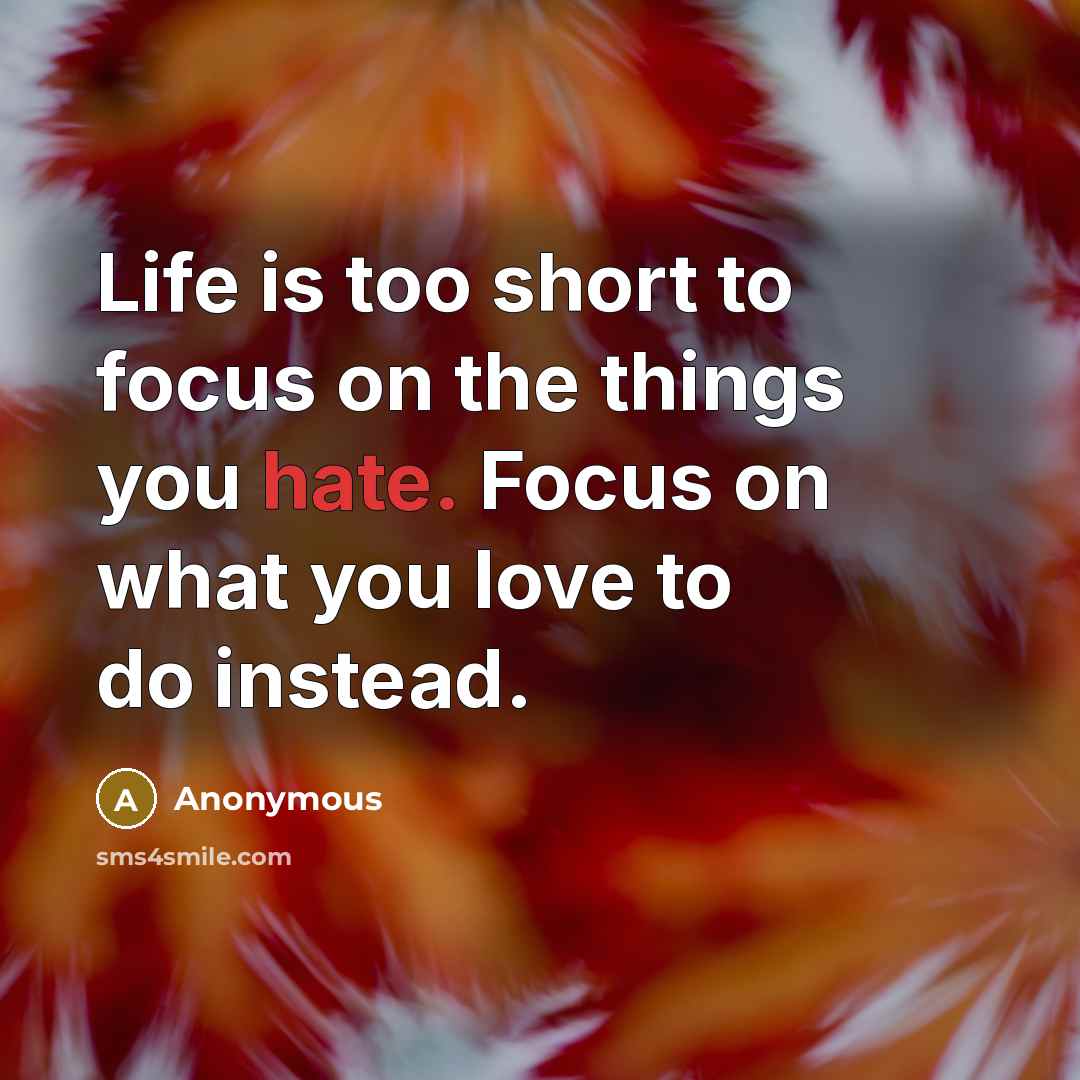 “Life is too short to focus on the things you…” quote by Anonymous