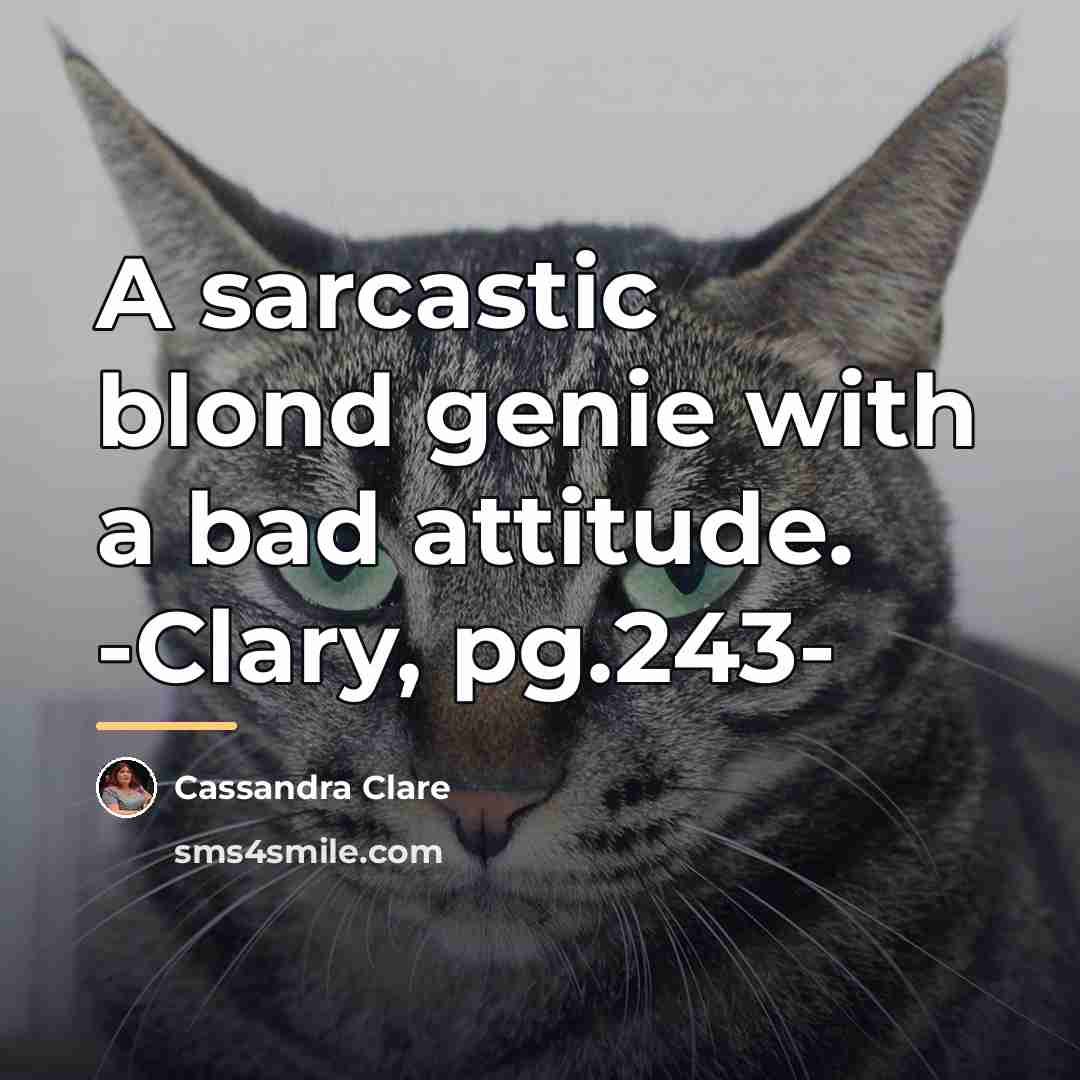“A sarcastic blond genie with a bad attitude. -Clary, pg.243-…” quote by Cassandra Clare