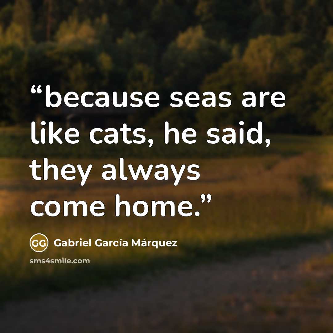 “because seas are like cats, he said, they always come home.” quote by Gabriel García Márquez