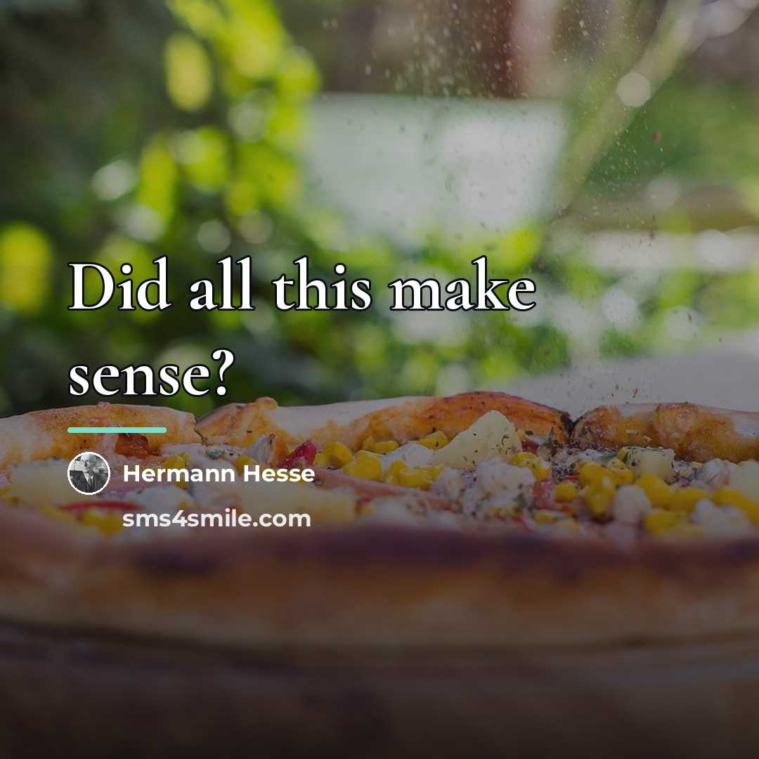 “Did all this make sense?…” quote by Hermann Hesse