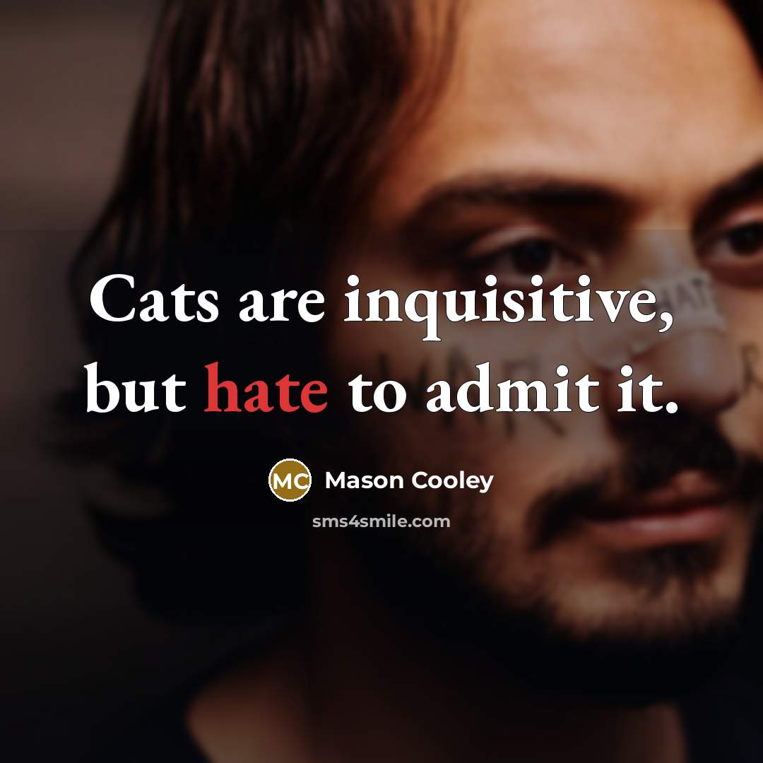 “Cats are inquisitive, but hate to admit it.” quote by Mason Cooley