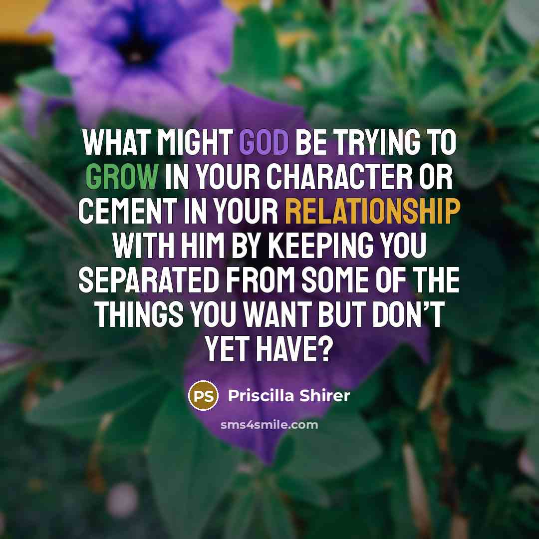 “What might God be trying to grow in your character…” quote by Priscilla Shirer