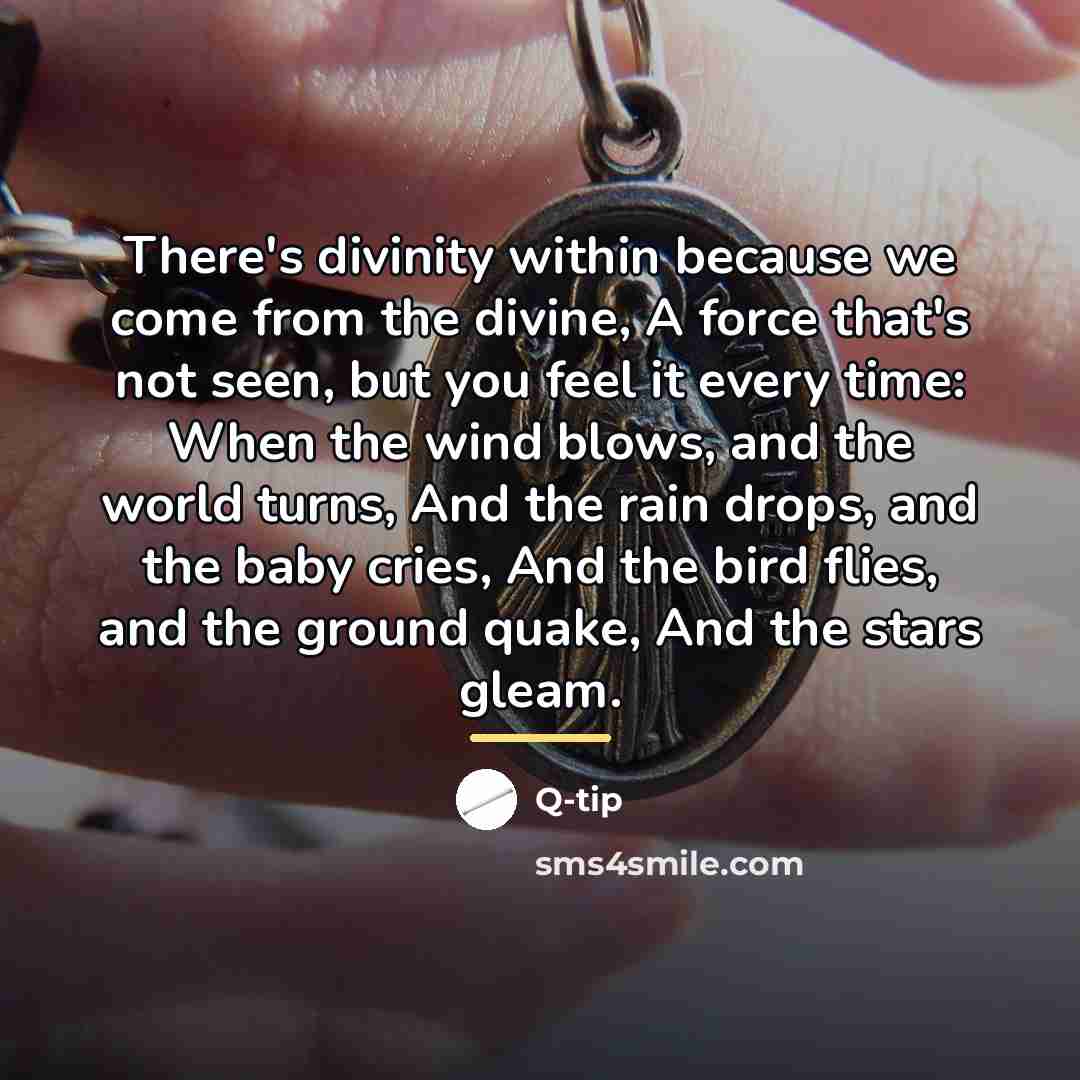 “There's divinity within because we come from the divine, A…” quote by Q-Tip