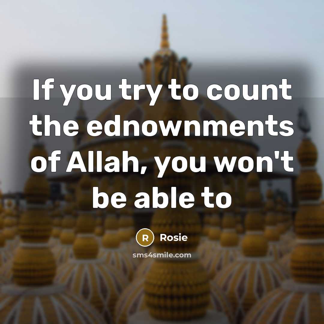 “If you try to count the ednownments of Allah, you…” quote by Rosie