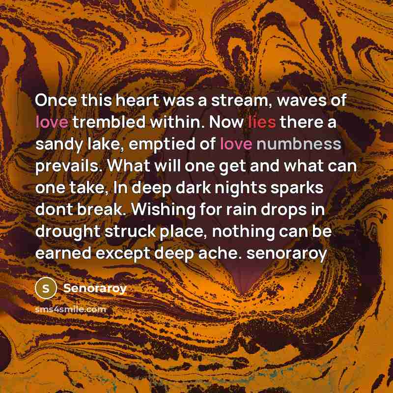 “Once this heart was a stream, waves of love trembled…” quote by Senoraroy