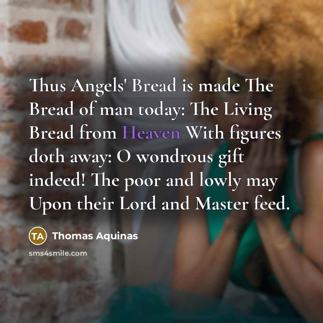 “Thus Angels' Bread is made The Bread of man today:…” quote by Thomas Aquinas