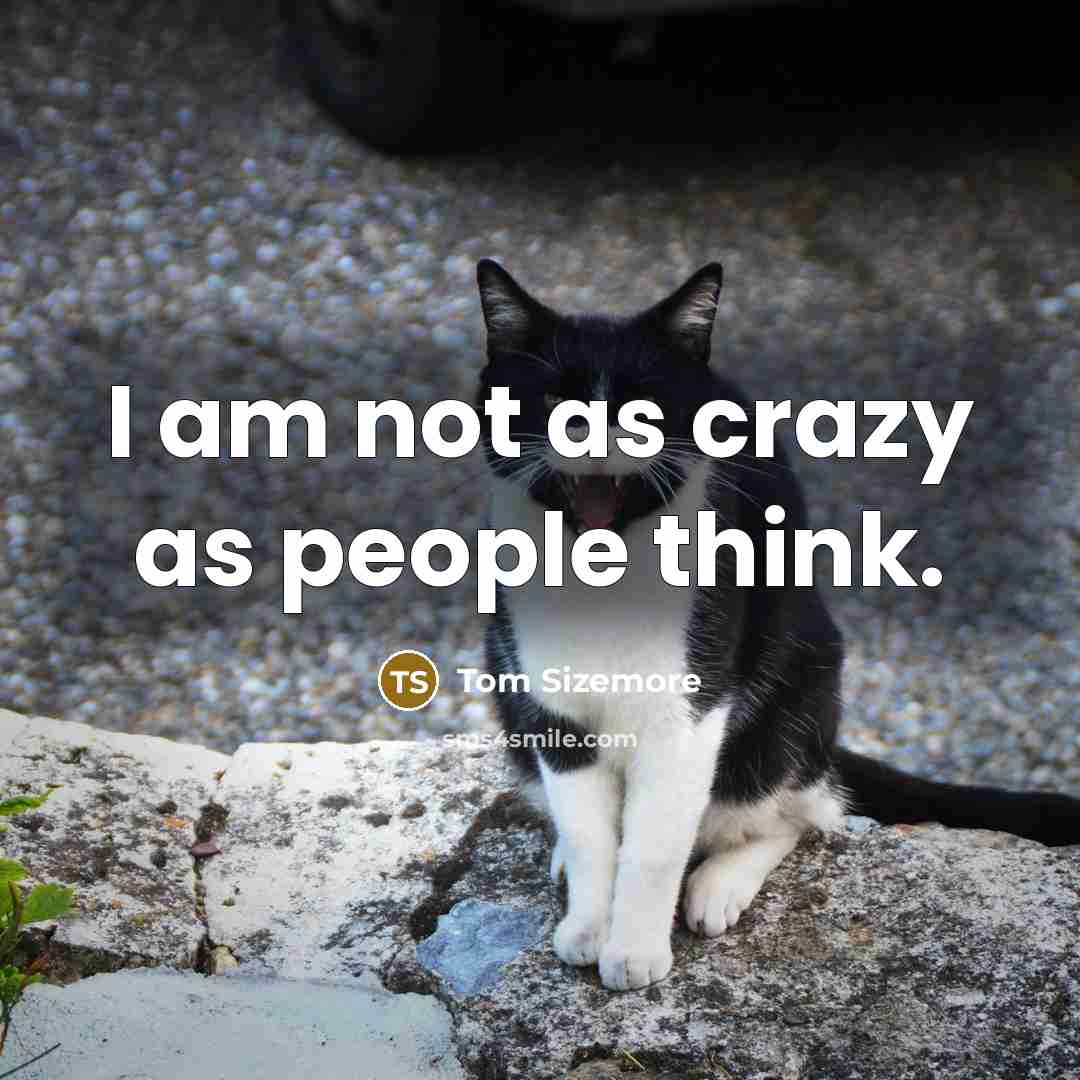 “I am not as crazy as people think.…” quote by Tom Sizemore