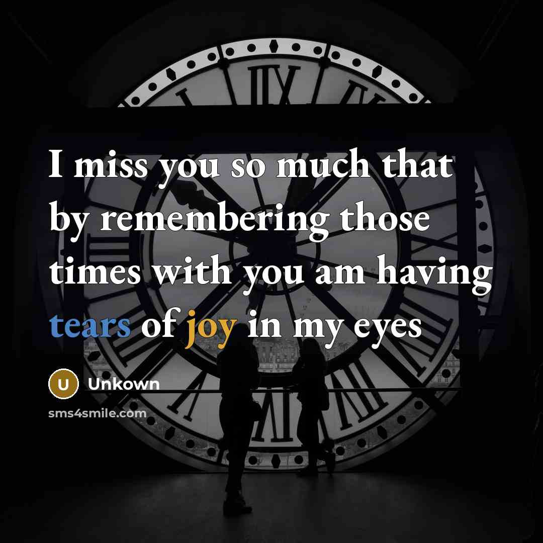 “I miss you so much that by remembering those times…” quote by Unkown