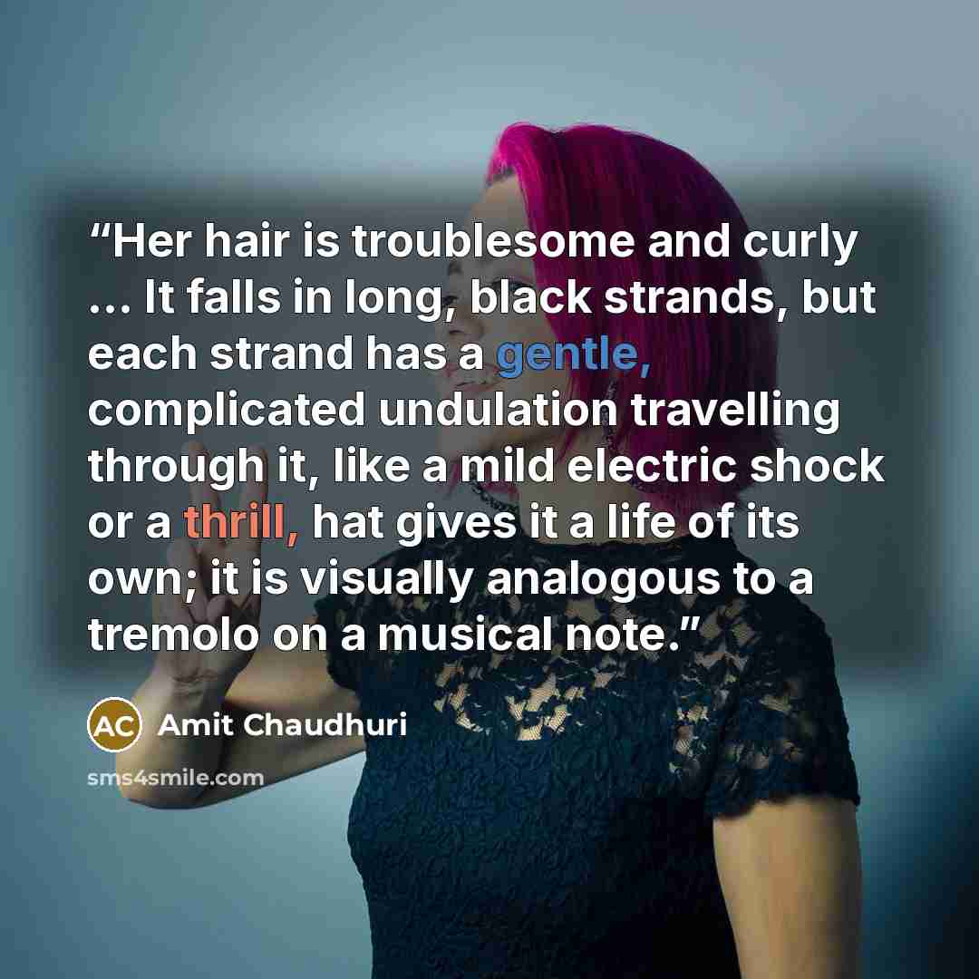 “Her hair is troublesome and curly ... It falls in long, black strands, but each strand has a gentle, complicated undulation travelling through it, like a mild electric shock or a thrill, hat gives it a life of its own; it is visually analogous to a tremolo on a musical note.” quote by Amit Chaudhuri