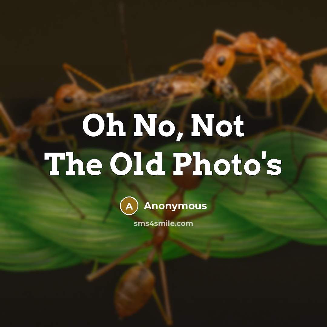 “Oh No, Not The Old Photo's” quote by Anonymous